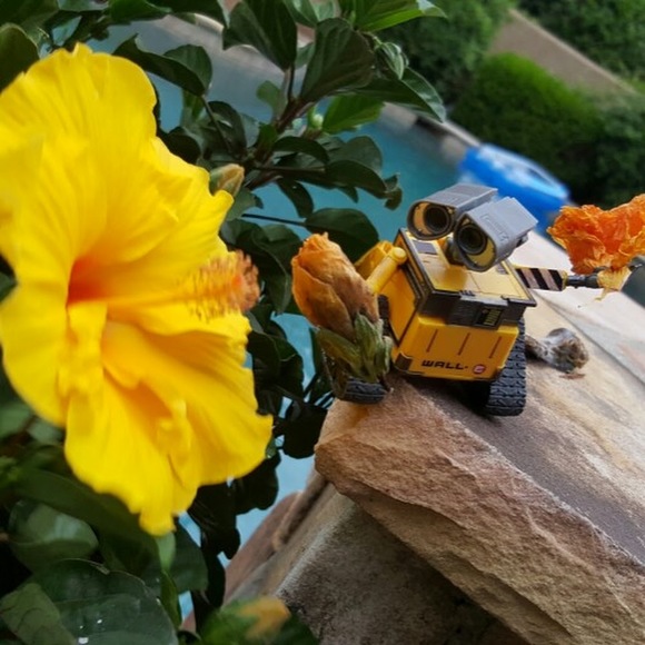 Meet your Posher, Ashlee n. - Picture 1 of 1